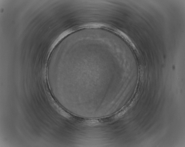 X0000087411186200705181350