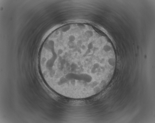 X0000087411187200705181350