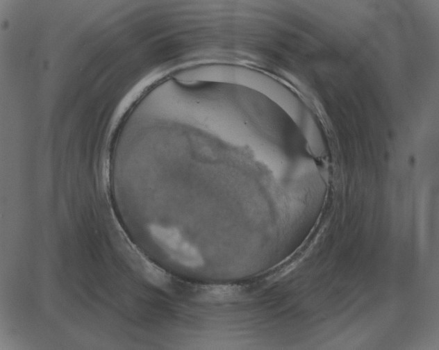 X0000087411188200705181350