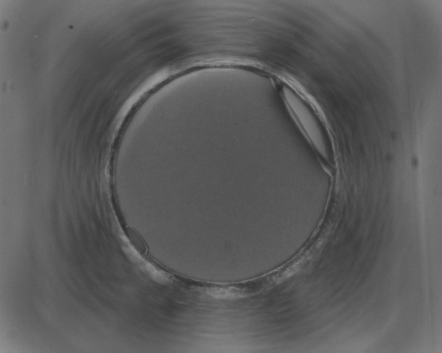 X0000087411189200705181350