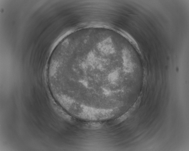 X0000087411190200705181350