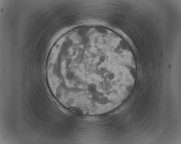 X0000087411191200705181350