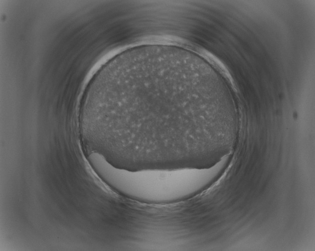 X0000087411192200705181350