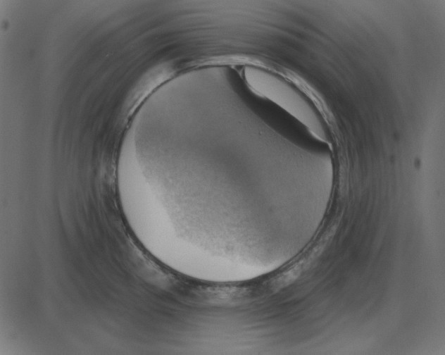 X0000087411193200705181350