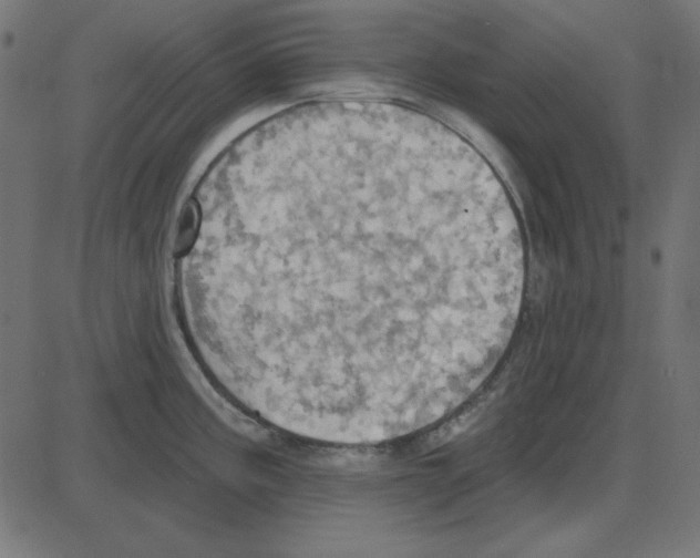 X0000087411195200705181350