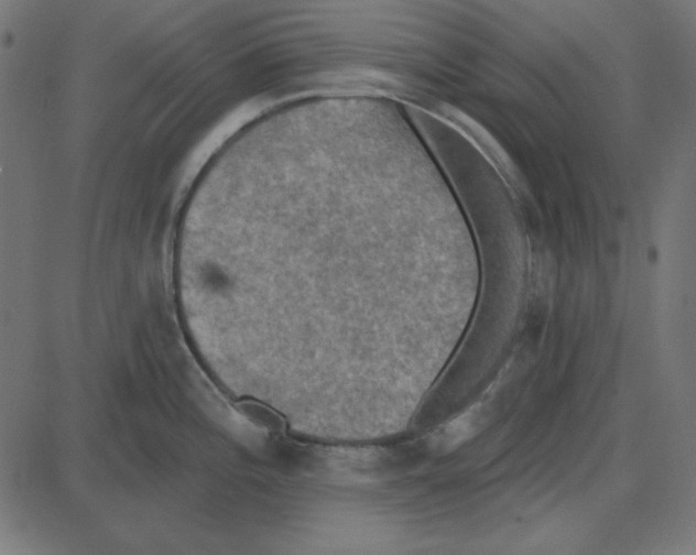 X0000087411196200705181350