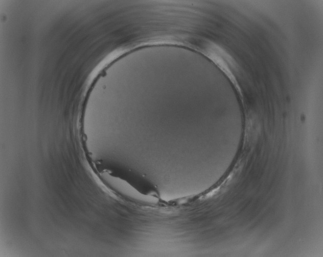 X0000087411197200705181350