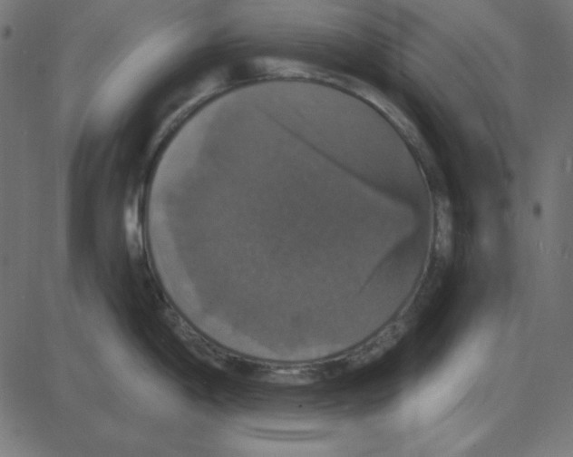 X0000087411198200705181349