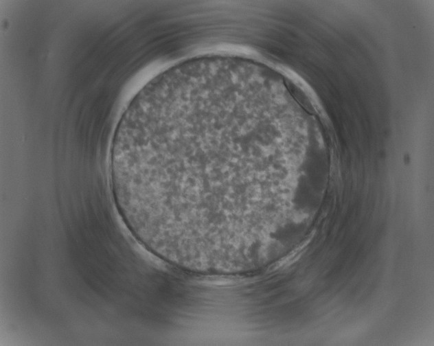 X0000087411199200705181349