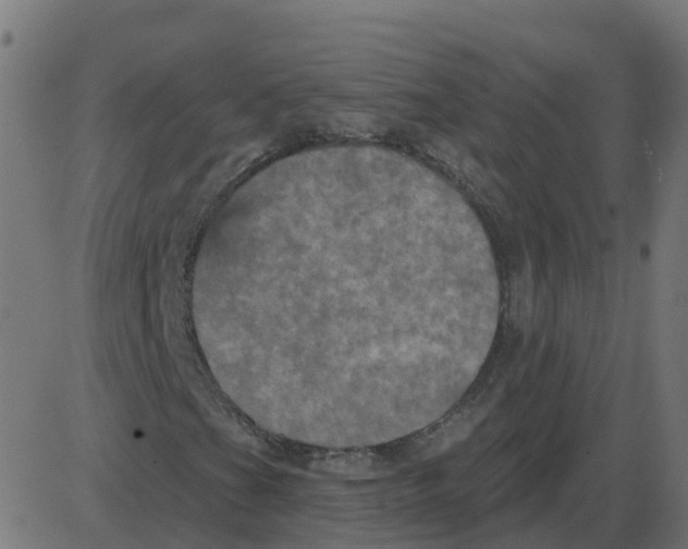 X0000087411201200705181349