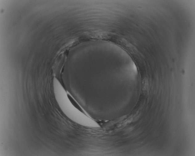 X0000087411202200705181349