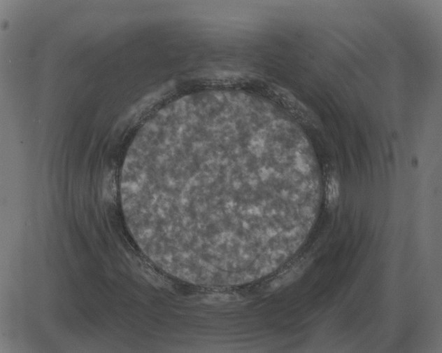 X0000087411204200705181349