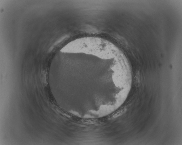 X0000087411205200705181349