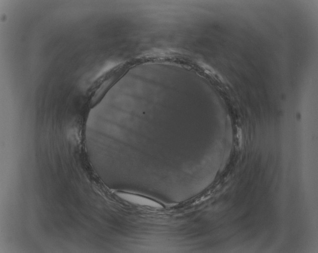 X0000087411206200705181349