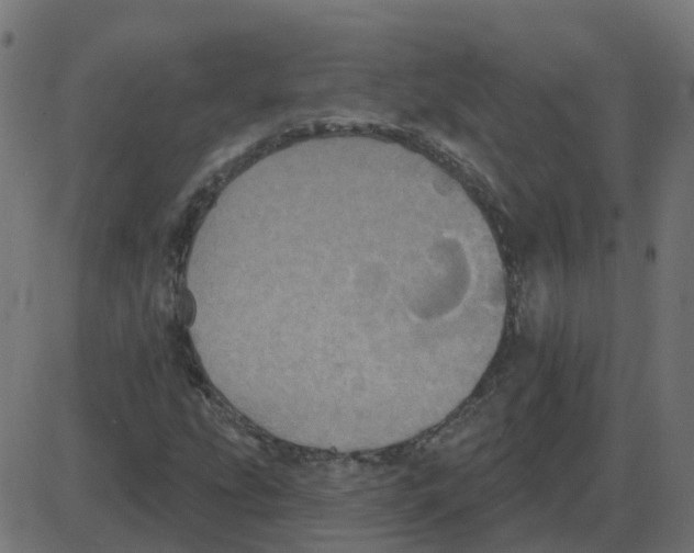 X0000087411207200705181349