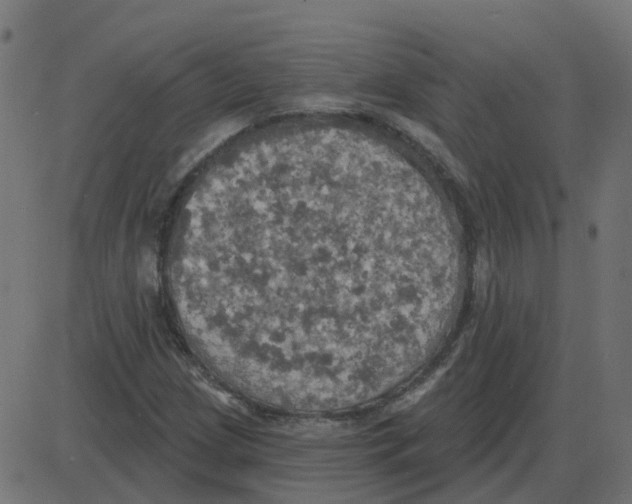 X0000087411209200705181349