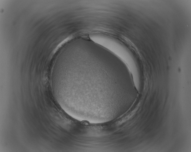 X0000087411210200705181349