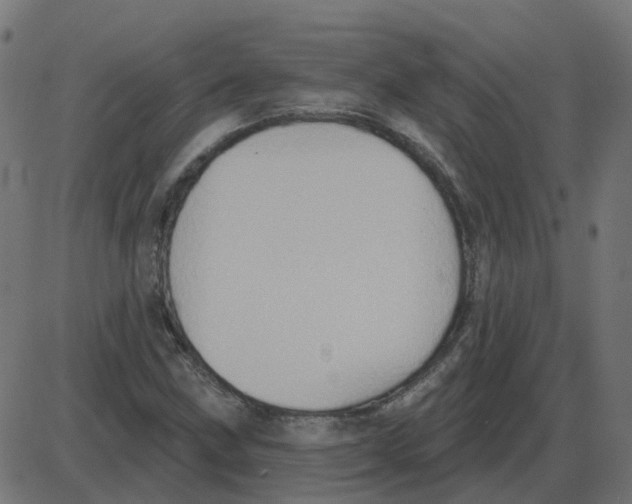 X0000087411211200705181349