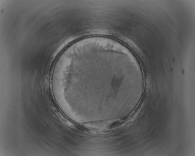 X0000087411212200705181349