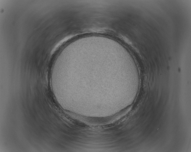 X0000087411214200705181349