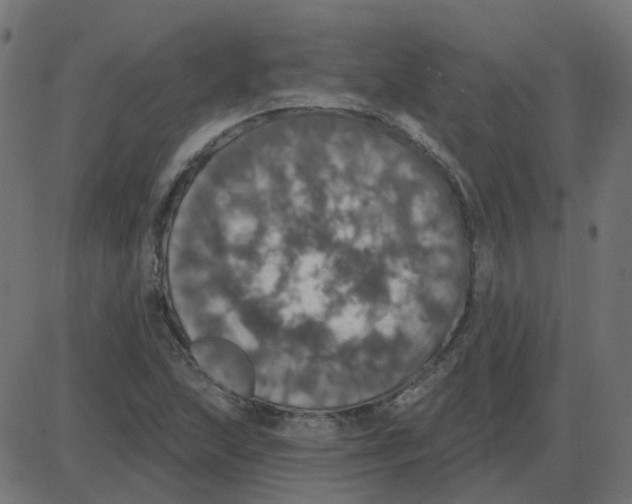 X0000087411215200705181349