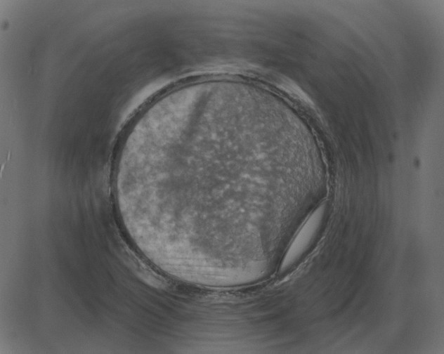 X0000087411216200705181349