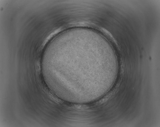 X0000087411218200705181349