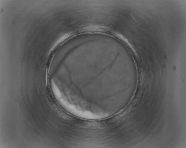 X0000087411219200705181349