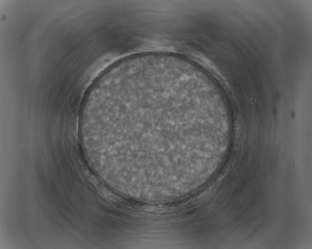 X0000087411220200705181349