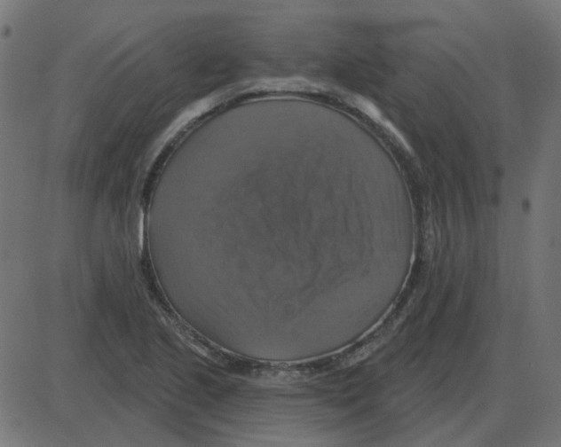 X0000087411221200705181349