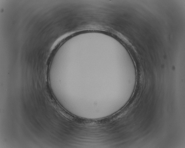 X0000087411222200705181349