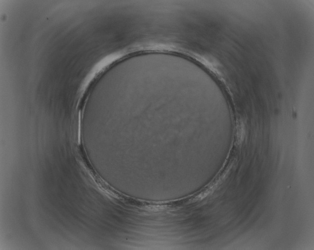 X0000087411223200705181349