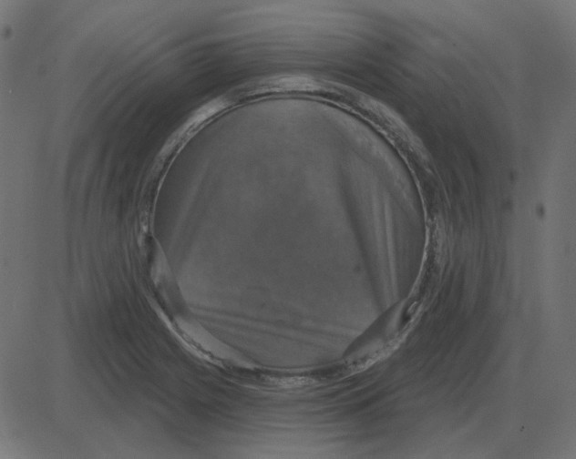 X0000087411225200705181349