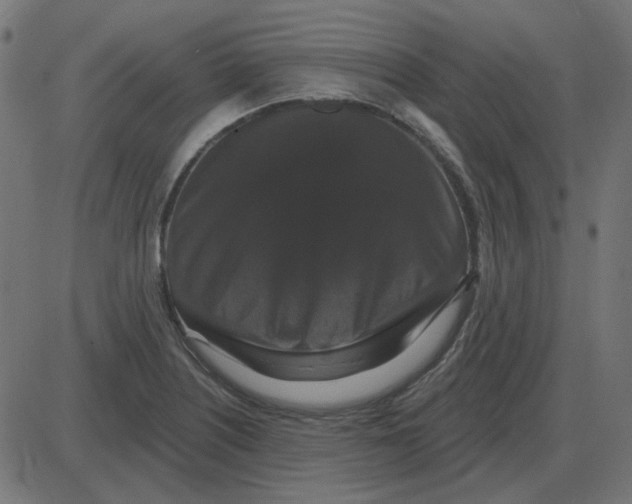 X0000087411226200705181349