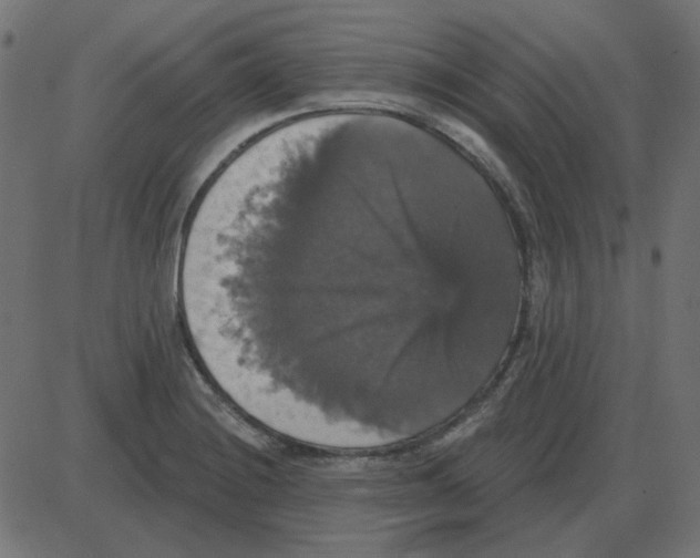 X0000087411228200705181349