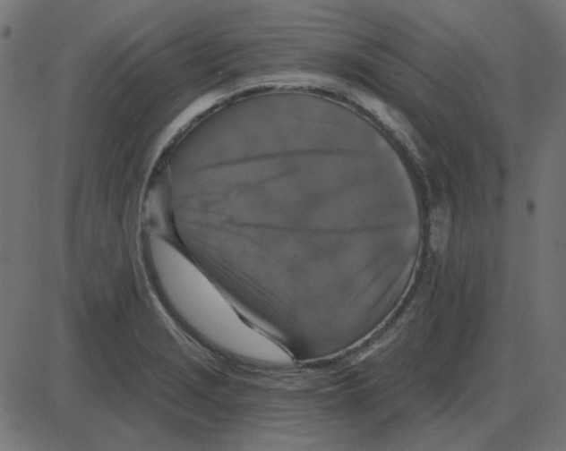 X0000087411229200705181349