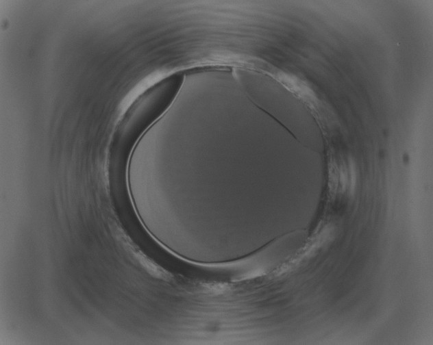 X0000087411230200705181349