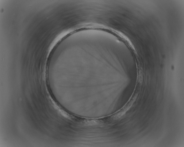 X0000087411231200705181349