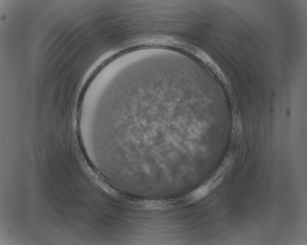 X0000087411232200705181349