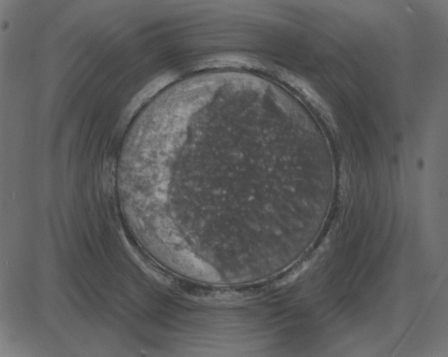 X0000087411233200705181349