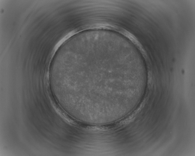 X0000087411234200705181349