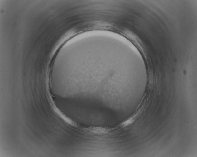 X0000087411235200705181349