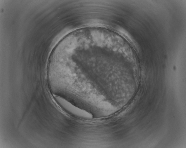 X0000087411236200705181349