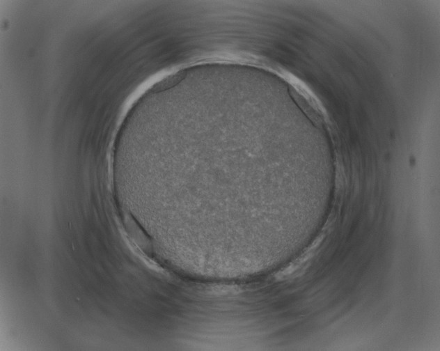 X0000087411238200705181349