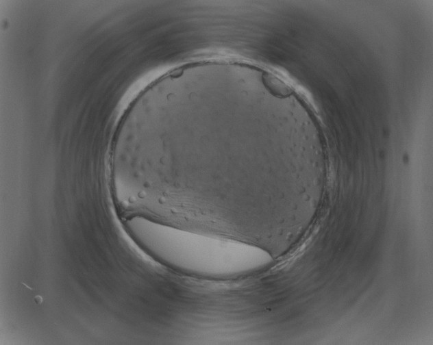 X0000087411239200705181349