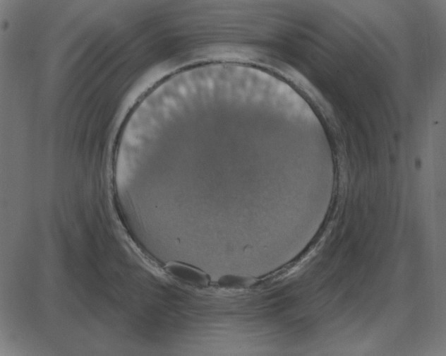 X0000087411240200705181349