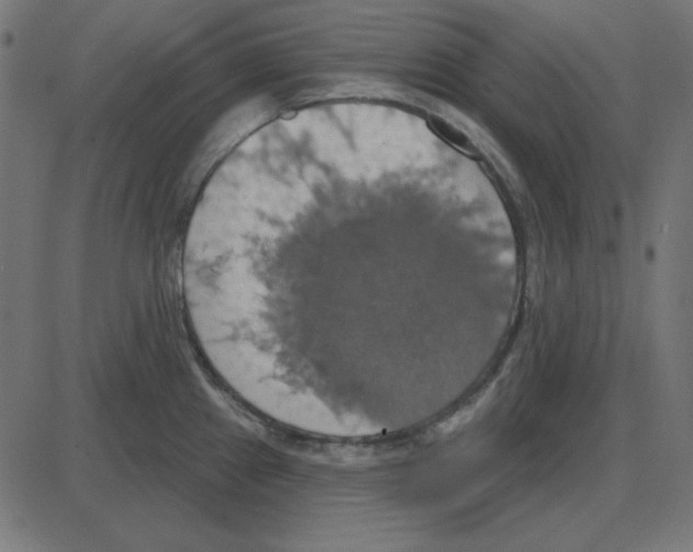 X0000087411241200705181349