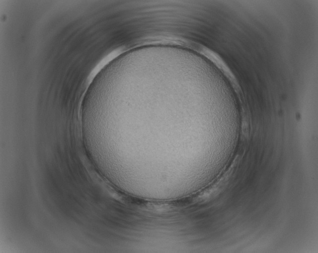 X0000087411242200705181349