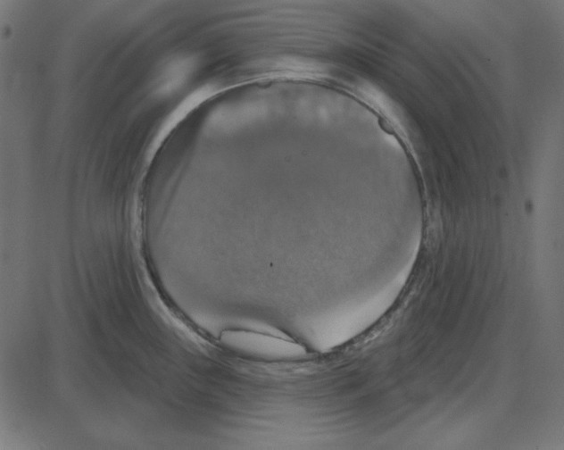 X0000087411243200705181349