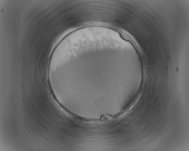 X0000087411244200705181349